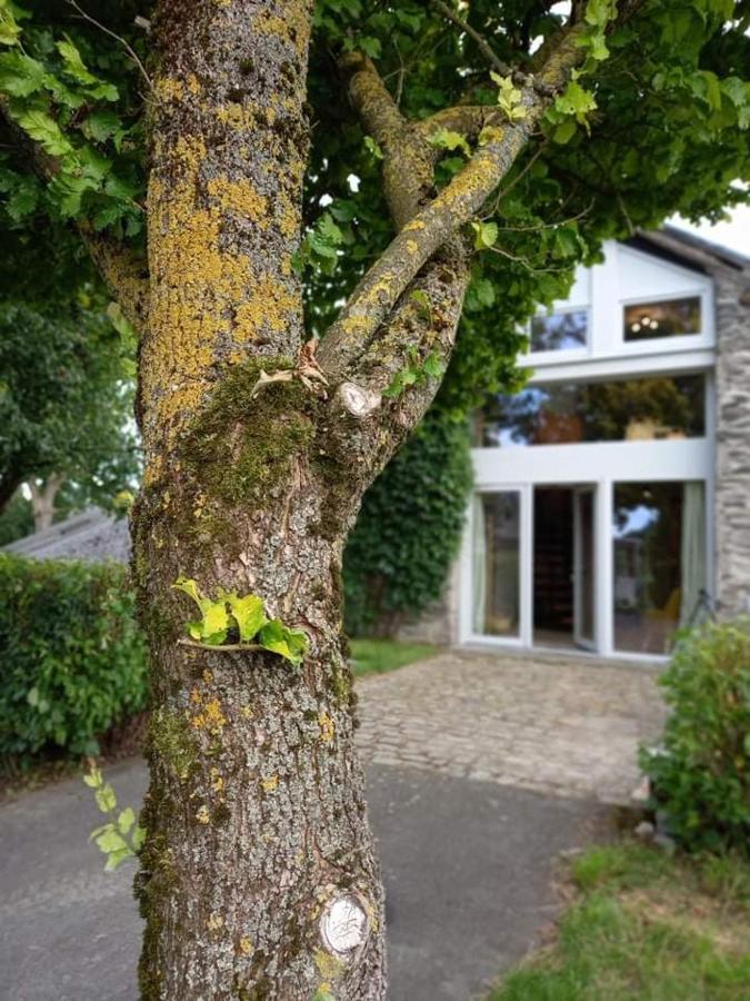 Li Gurni Villa Houffalize Exterior photo